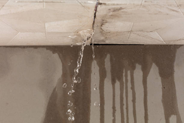 Professional Water Damage Repair technician working in Hardin, TX